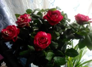 IMG_20170525_122357