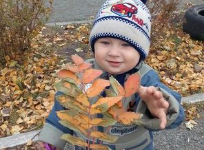IMG_20171019_144820_181