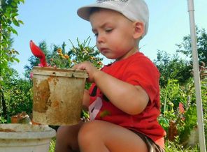 IMG_20170806_222725_5