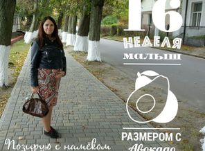 malyshi_image_15033438708