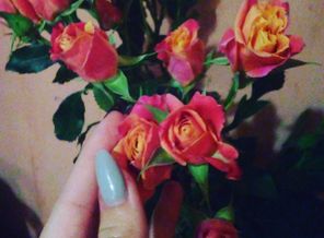 IMG_20170912_074058_363