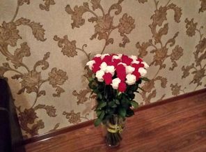 IMG-20171129-WA0003