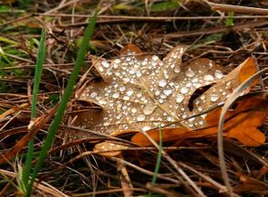 IMG_20171017_134130_661