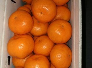 IMG_20171213_194446