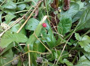 IMG_20170812_173551