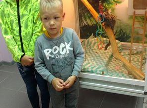 IMG_20170724_175240367