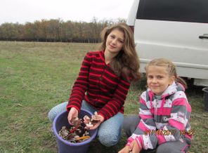 IMG-65f738ce17e21bf79c096c85ac4a5f88-V
