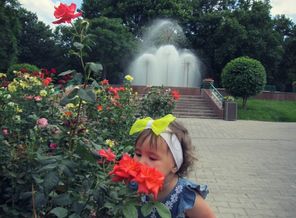 IMG_20170318_002013_567
