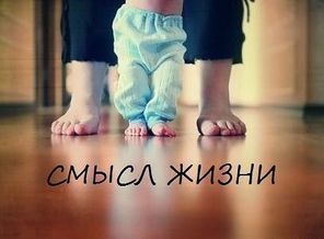 86c429c5c27ba1977f81e9d215ab7517