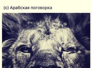 AlRCgZOYeeo