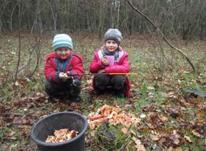 IMG_20171204_085806_2