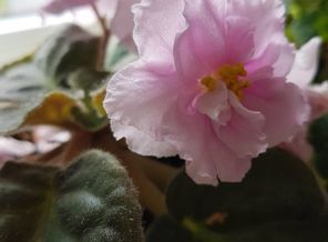 IMG_20170512_130011_163
