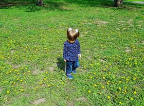 IMG_20170513_111157_796