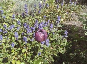 IMG_20170525_111136