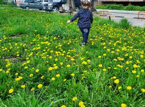 IMG_20170513_111157_796