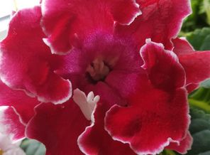 IMG_20170512_130011_163