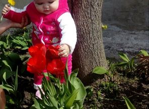 IMG_20170501_102555