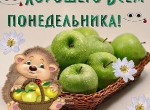 IMG-20170710-WA0001