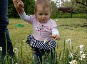 IMG_20170507_164903