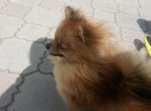 20170417_140236