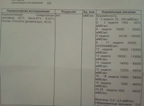 JPEG_image_1503908831207.jpeg_-192606927
