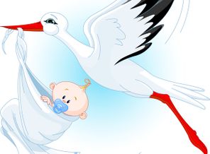8c914152af82f5620b564b62ddecf997-stork-carrying-a-baby-vector