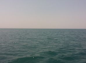 20170723_115356