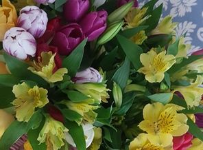 IMG-20180311-WA0022