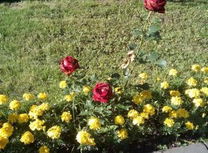 IMG_20170715_164225_866