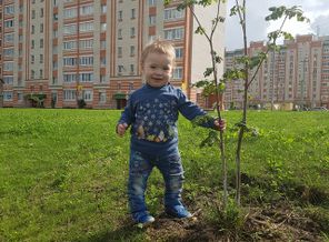 IMG_20170910_043451_337
