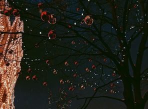 IMG_20171209_175043_921