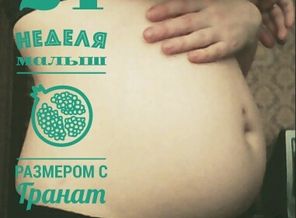 malyshi_image_14973949336