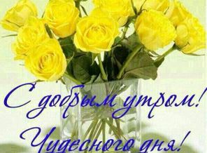 IMG-20170831-WA0001