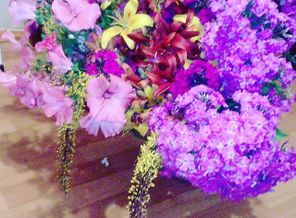 IMG_20170805_181522