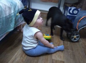 IMG_20171010_183646