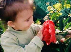 IMG-20170517-WA0014