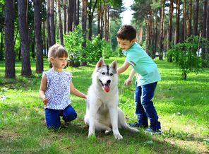IMG_5631 веб