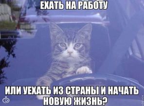 image (47).jpg