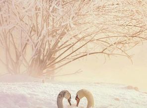 IMG-bf92a7f198e99815765fe666c08e78f9-V