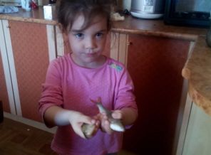 IMG_20170507_113811