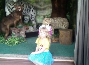 IMG_20170627_110401