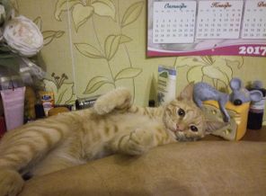 IMG_20170915_204914
