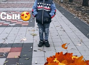 IMG_20170920_152631_761