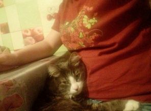 IMG-20170528-WA0000