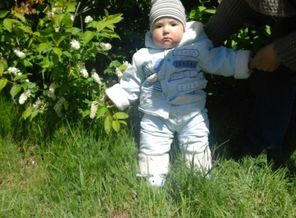 IMG-1486705039415-V