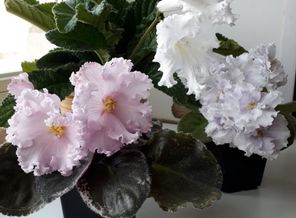 20170419_095846