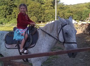 IMG_20170611_184007.jpg