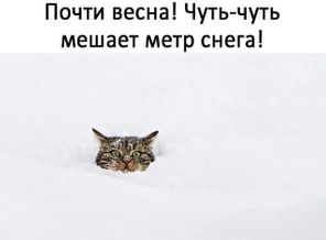 image-0-02-04-3ebac47d2c973b3fc66f90d1e89512083c3c26d526bf1731c7bb2742e73d4626-V