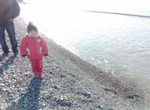 IMG-20171105-WA0001