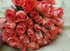 IMG_20170621_190826